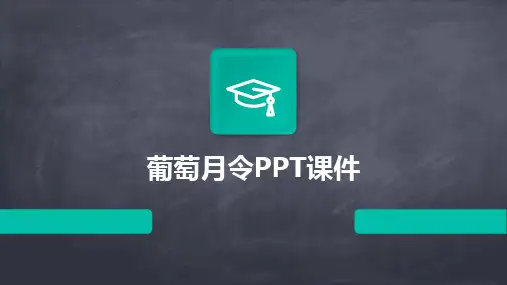 2024葡萄月令PPT课件