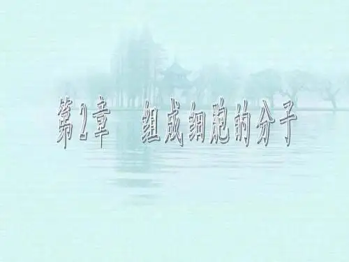 2015年高考第一轮复习生物原创课件  第2章  组成细胞的分子