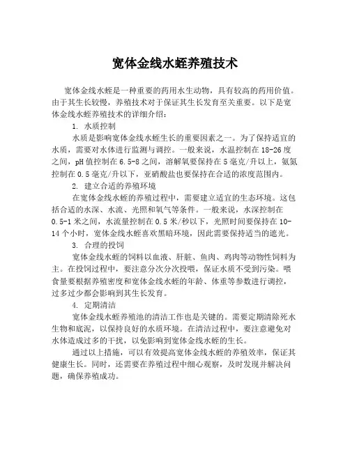 宽体金线水蛭养殖技术