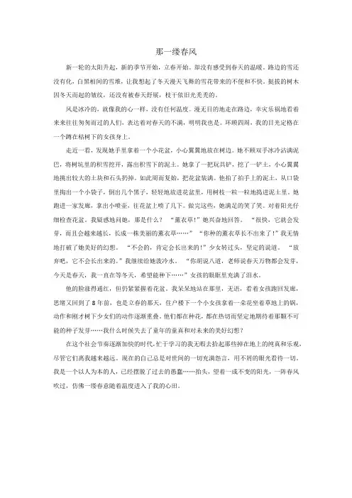 那一缕春风作文800字