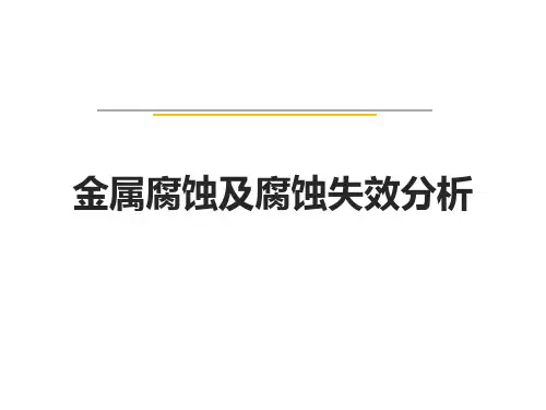 金属腐蚀及腐蚀失效分析