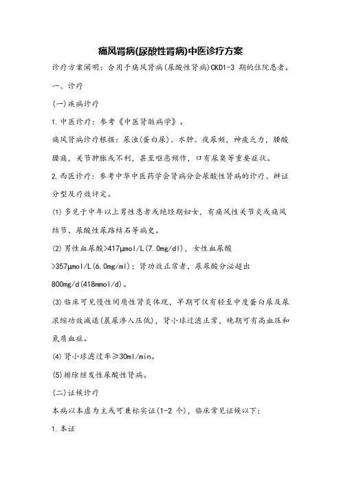 痛风肾病尿酸性肾病中医诊疗方案