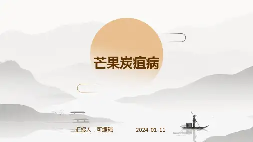 芒果炭疽病