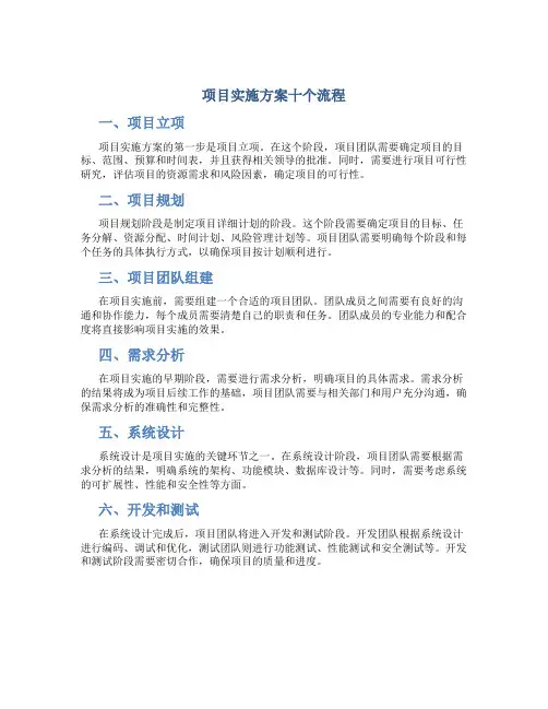 项目实施方案十个流程