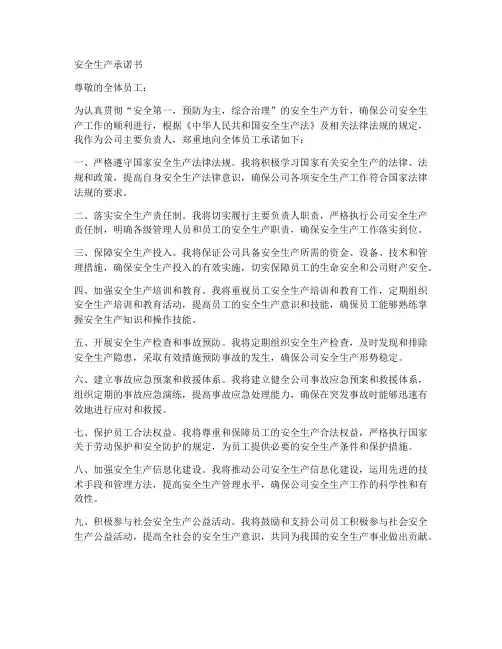 安全生产承诺书主要负责人
