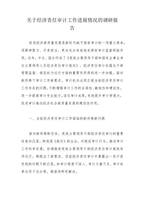 关于经济责任审计工作进展情况的调研报告