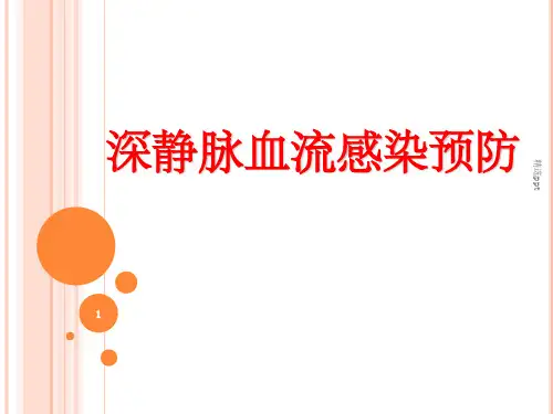 中心静脉导管相关血流感染预防与控制ppt课件