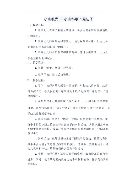 小班教案 - 小班科学：照镜子