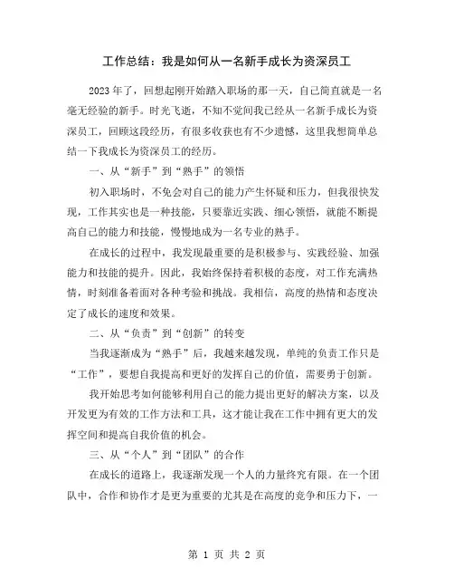 工作总结：我是如何从一名新手成长为资深员工