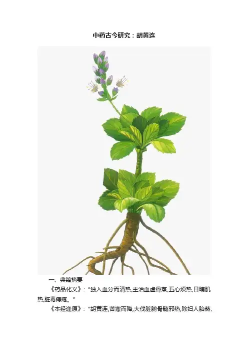 中药古今研究：胡黄连