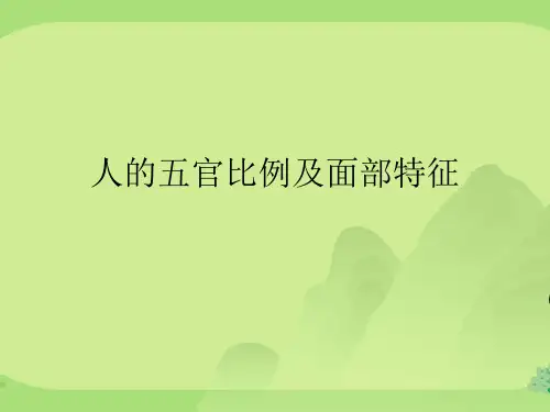 人的五官比例及面部特征