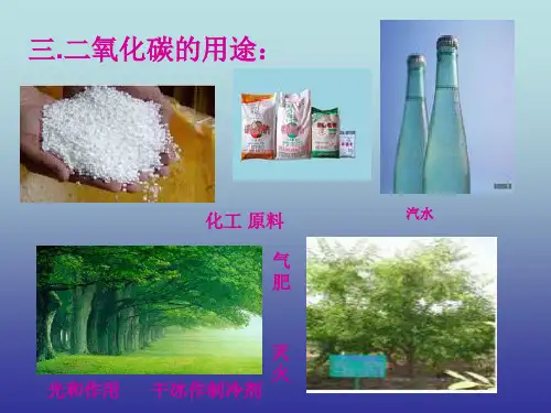 二氧化碳对生活和环境的影响