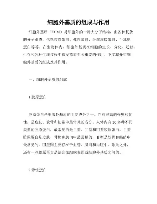 细胞外基质的组成与作用