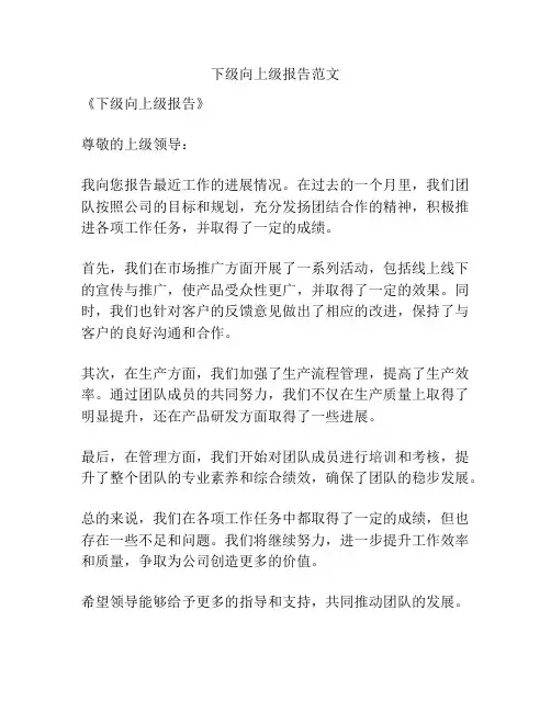 下级向上级报告范文