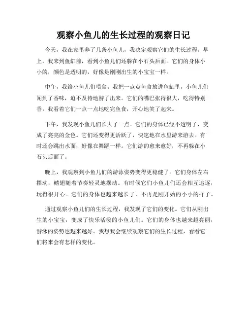小学三年级作文观察小鱼儿的生长过程的观察日记