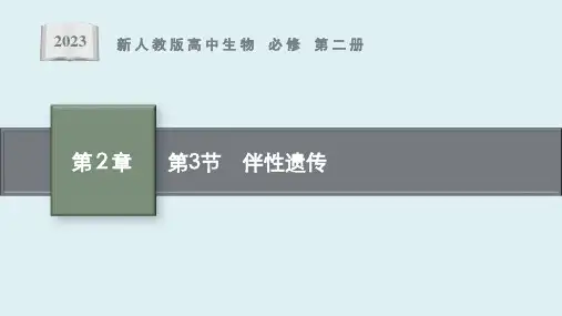 第2章 第3节 《伴性遗传》课件ppt