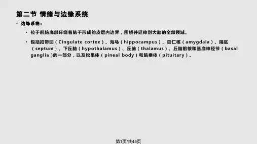情绪的生理机制PPT课件