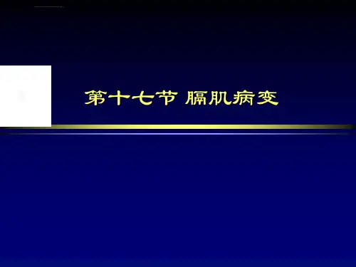 膈肌病变影像诊断ppt课件