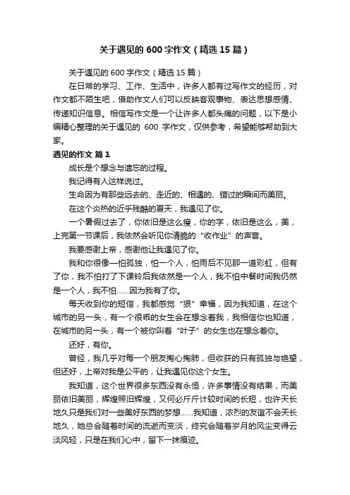 关于遇见的600字作文（精选15篇）