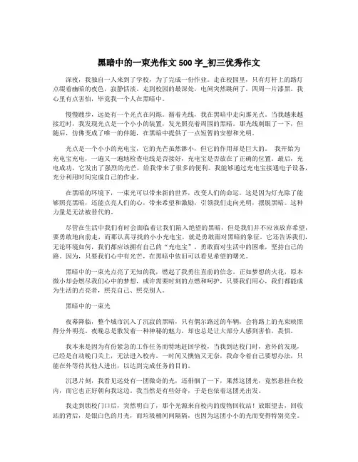 黑暗中的一束光作文500字_初三优秀作文