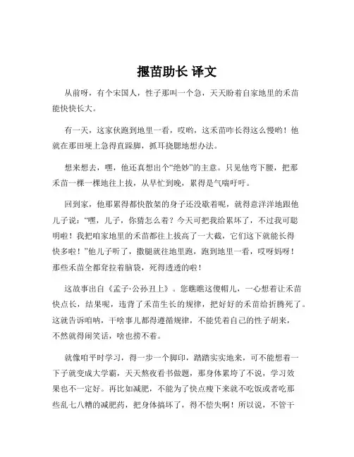 揠苗助长 译文