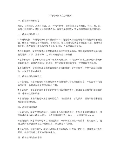荷花绘画知识点总结初中