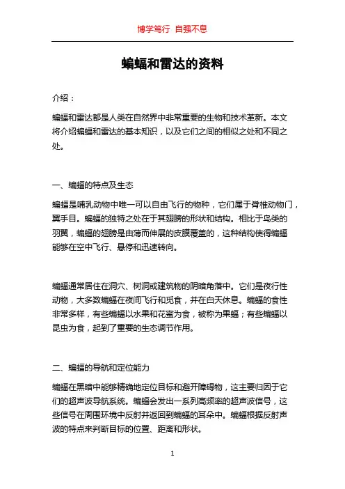蝙蝠和雷达的资料