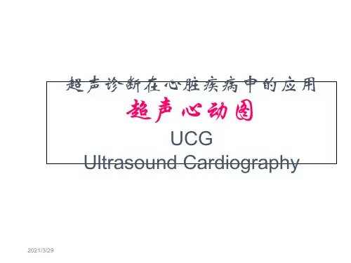 心脏(超声诊断)PPT课件.ppt