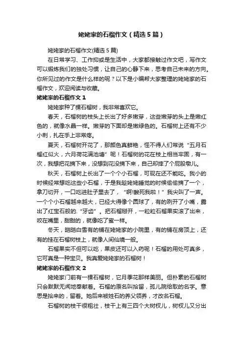 姥姥家的石榴作文（精选5篇）