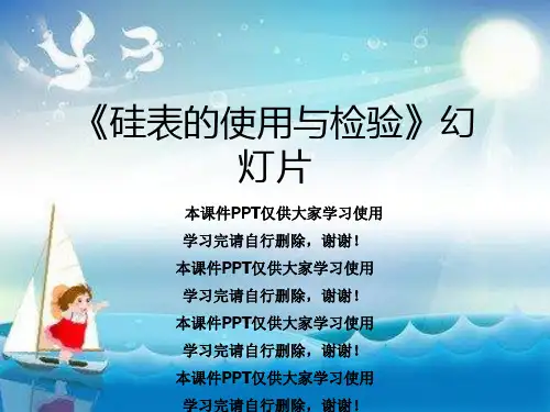《硅表的使用与检验》幻灯片