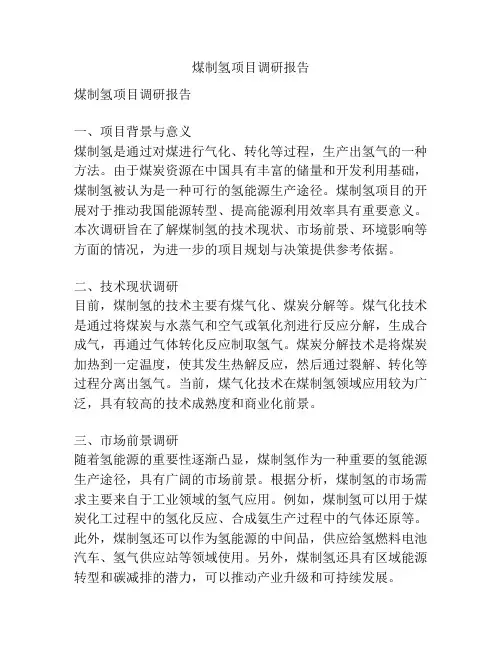 煤制氢项目调研报告