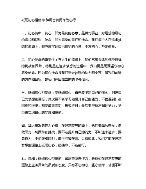砥砺初心担使命 踔厉奋发勇作为心得