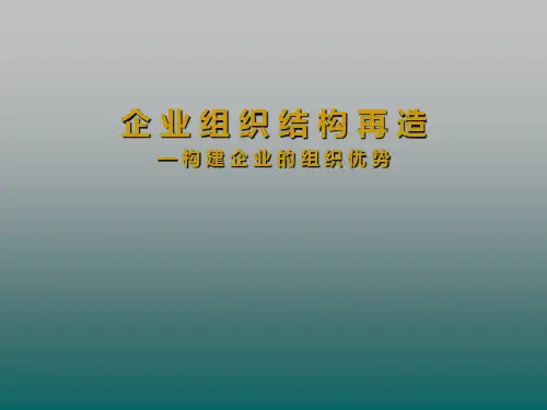 组织结构再造构建的组织优势