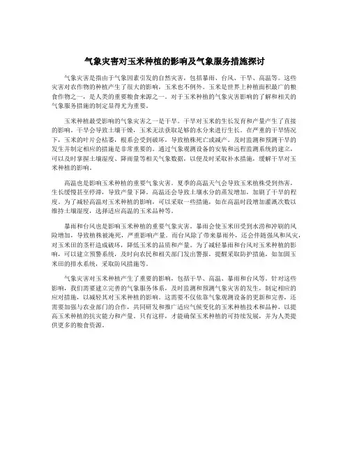 气象灾害对玉米种植的影响及气象服务措施探讨