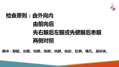 眼科常用检查—眼部检查