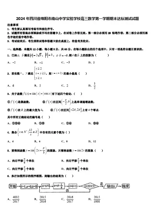 2024年四川省绵阳市南山中学实验学校高三数学第一学期期末达标测试试题含解析