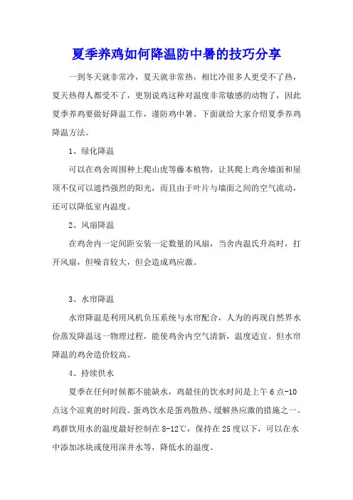 夏季养鸡如何降温防中暑的技巧分享
