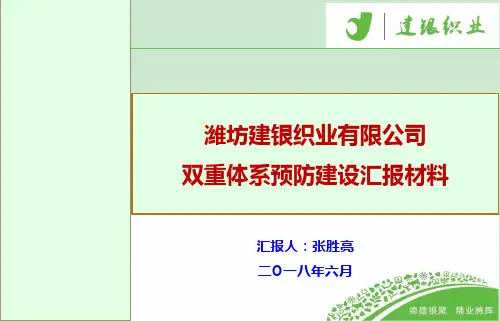 新版——两个体系建设汇报材料 ppt课件