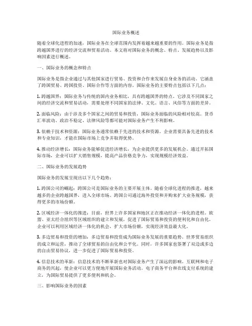 国际业务概述