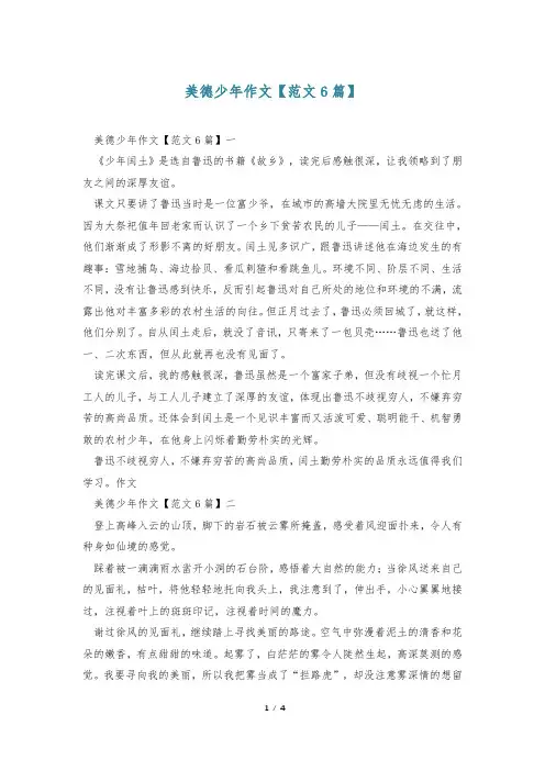 美德少年作文【范文6篇】