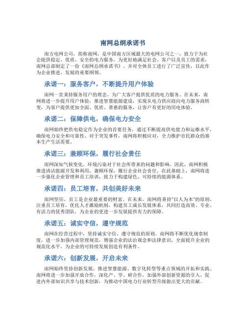 南网总纲承诺书