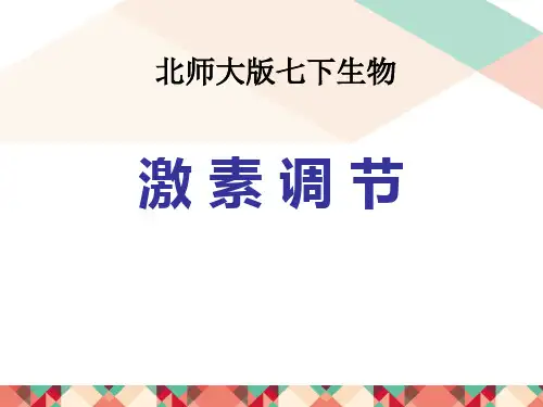 《激素调节》PPT优质课件教学课件