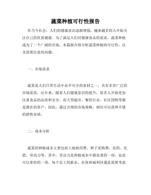 蔬菜种植可行性报告