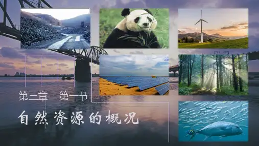 3.1中国的自然资源第一课时课件-八年级地理上学期人教版【03】