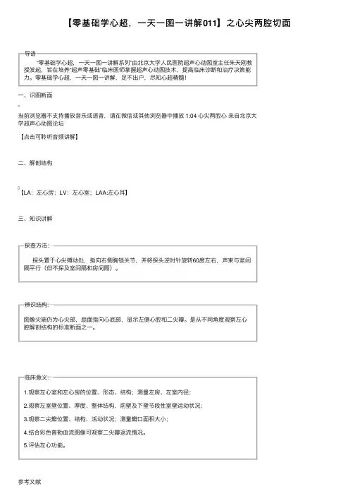 【零基础学心超，一天一图一讲解011】之心尖两腔切面