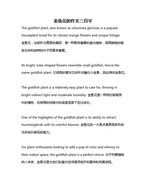 金鱼花的作文三百字
