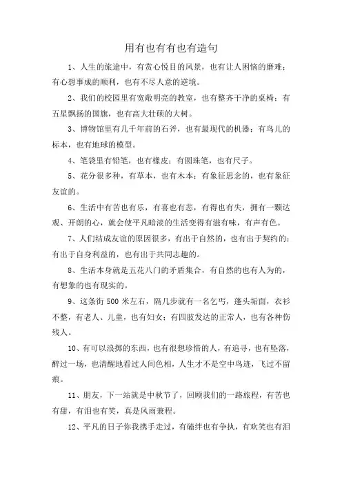 用有也有有也有造句