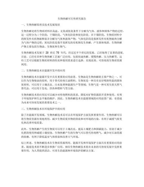生物热解可行性研究报告