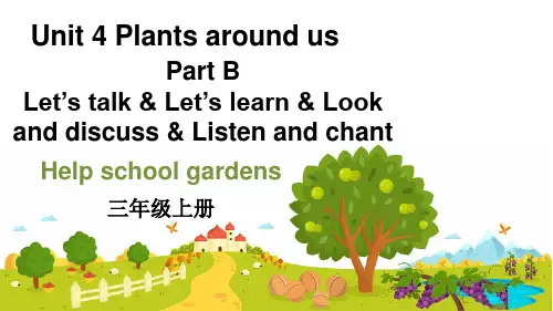 三年级英语上册教学课件《Unit4-Plants-around-us》-Part--B-第3课时