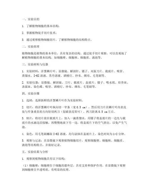 植物切片观察实验报告